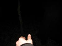 Chicago Ghost Hunters Group investigates Robinson Woods (167).JPG